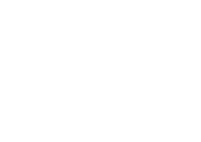 Laetitia Martins - Portfolio